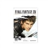 Final Fantasy XIV - Ensemble complet - 1 utilisateur - PC - DVD - Win