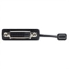 Kabel: Mini DisplayPort til DVI-adapter