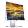 Dell 19 Monitor - P1917SWh