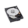 Festplatte : 500GB Serial ATA (7200 U/Min) Festplatte