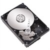 Festplatte : 500GB 9cm (3.5'') Serial ATA (7200 U/Min) Festplatte