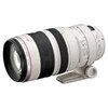 Canon EF - Telezoomobjektiv - 100 mm - 400 mm - f/4.5-5.6 L IS USM - Canon EF