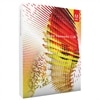Adobe® Fireworks® CS6 - Deutsch - 1 Benutzer