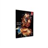 Adobe Photoshop CS6 Extended - Full Package Product - 1 Benutzer - DVD - Win - Deutsch