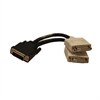SAPPLY DMS59 to Dual DVI-I (24+5) Female Splitter Cable