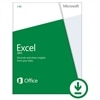 Download - Microsoft Excel 2013 1 PC ''Business Only''