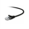 CAT5e Crimped Tip Network Cable - Black - 7 ft