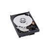 Western Digital