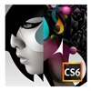 Adobe Systems AOO CS6 DESIGN STD V6 MPLAT 1+ 1U 1300PT