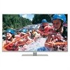 Panasonic 55-inch LED LCD TV – TCL55T50 Viera 1080p 60Hz HDTV