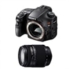 Sony alpha SLTA65V 24.3 MP DSLR Bundle with SAL18250 18-250mm f/3.5-6.3 High Magnification Zoom Lens
