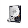 Western Digital
