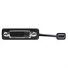 Cable : Mini DisplayPort to DVI Adapter