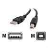 Cables to Go - USB cable - 4 PIN USB Type A (M) - 4 PIN USB Type B (M) - 1 m ( USB / Hi-Speed USB ) - black