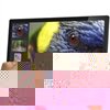 Dell 22 Touch Monitor - S2240T Black