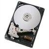 Hard Drive : 160GB 9cm (3.5'') Serial ATA (10.000 Rpm) Hard Drive