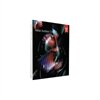 Adobe Audition CS6 - Complete package - 1 user - DVD - Win - English - Western Europe