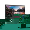 Dell 20 Monitor - P2017H