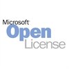 MICROSOFT OPEN BUSINESS
