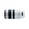 Canon EF 100-400mm f/4.5-5.6L IS USM Telephoto Zoom Lens - Dell Only