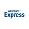 Websense, Inc.