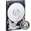 Western Digital
