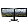 DoubleSight Displays