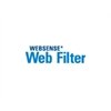Websense, Inc.
