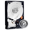 Western Digital