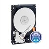 Western Digital