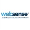 Websense, Inc.