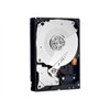 Western Digital