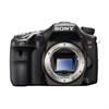 Alpha SLTA77V Black 24.3 MP Digital SLR Camera (Body Only)