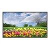 NEC Display Solutions