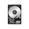 Seagate