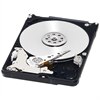 Western Digital