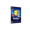 WinZip Standard - ( v. 17 ) - complete package - 1 user - DVD - Win - English - AES