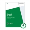 Microsoft Corporation Download - Microsoft Excel 2013 1 PC - Consumer Only