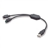 Belkin USB PS/2 Adapter - Adaptateur clavier/souris - USB à 4 broches, type A (M) - PS/2 6 broches (F) - anthracite