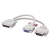 Wyse - Répartiteur DVI - DVI-I (M) - HD-15, DVI-D (M)