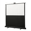 Draper 80 Inch NTSC Piper Portable Screen