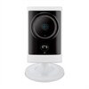 D-Link Systèmes DCS-2310L Caméra HD PoE Nuage extérieure