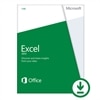 Microsoft Corporation de téléchargement de Microsoft Excel 2013 un ordinateur « Business seulement »