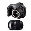 Sony A65 24.3 MP Digital SLR Bundle avec SAL18250 18-250mm f/3.5-6.3 High Magnification Zoom Lens