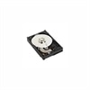 Dell - 1 TB - (7.200 giri/min) - SATA - Disco rigido  - 3,5 pollici - Kit