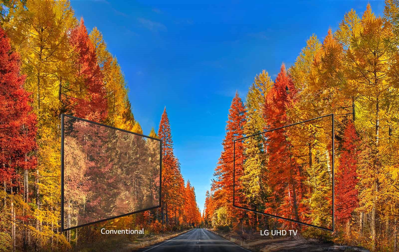LG 43 Inch 4K LED Ultra HD HDR Smart TV - 43UK6090PUA LG 43 Inch 4K LED Ultra HD HDR Smart TV - 43UK6090PUA