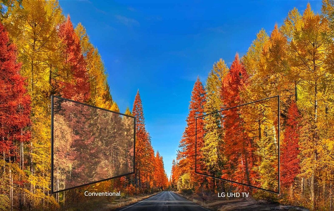 LG 65 Inch LED 4K Ultra HD HDR Smart TV - 65UK6090PUA LG 65 Inch LED 4K Ultra HD HDR Smart TV - 65UK6090PUA