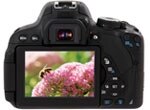 Canon EOS Rebel T3i 18-55mm IS II Kit Product Shot