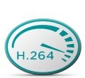 H.264 video standard