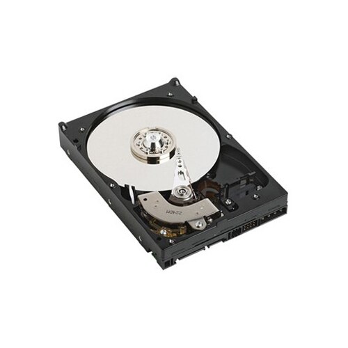 Dell 250 GB 7200 RPM Hard Drive for Select PowerEdge Servers PowerVault Storage NKM2N